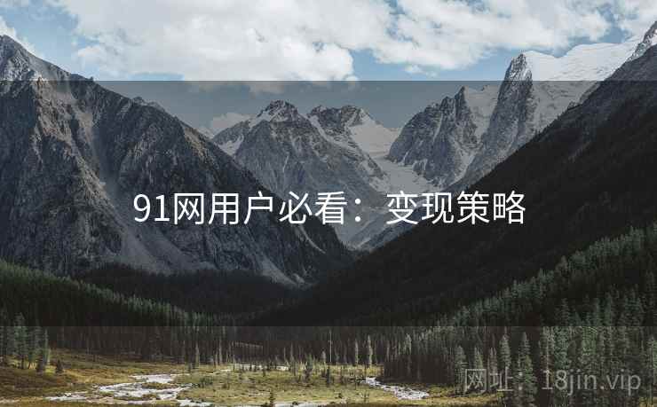 91网用户必看：变现策略