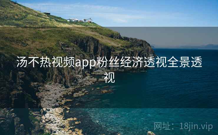 汤不热视频app粉丝经济透视全景透视
