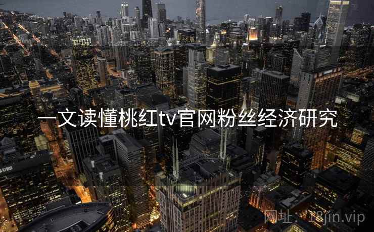 一文读懂桃红tv官网粉丝经济研究