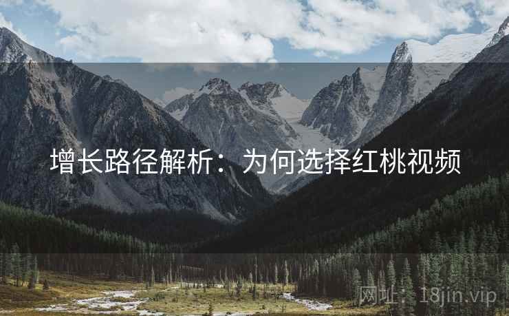 增长路径解析：为何选择红桃视频