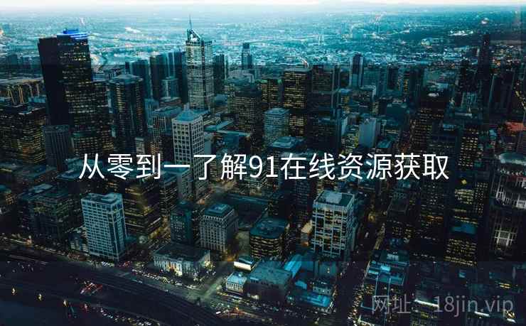 从零到一了解91在线资源获取