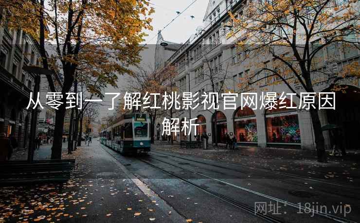 从零到一了解红桃影视官网爆红原因解析
