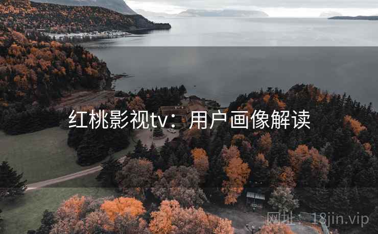 详细阅读:红桃影视tv:用户画像解读 红桃影视tv:用户画像解读