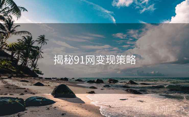 揭秘91网变现策略